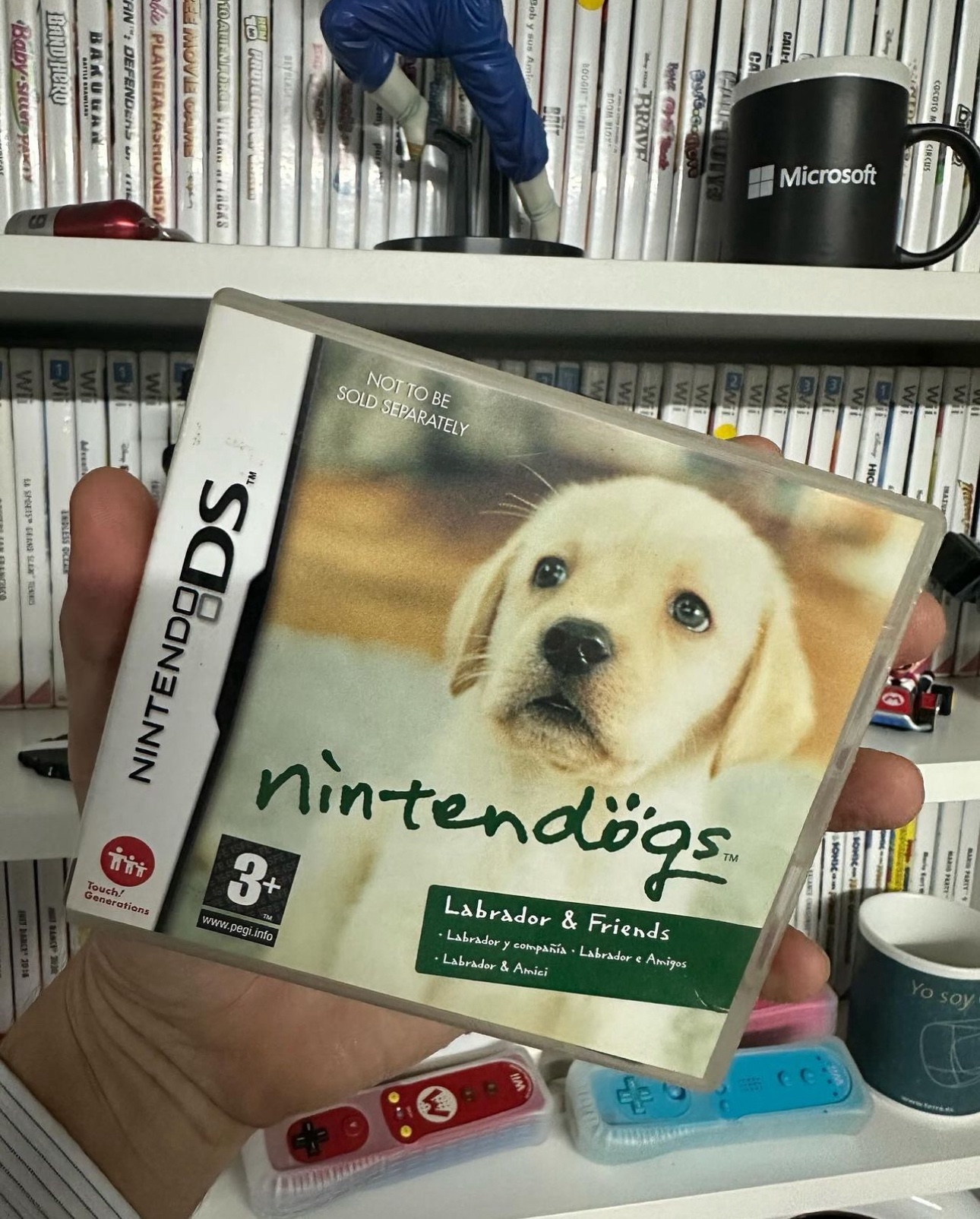 Nintendogs (2005): A Virtual Pet for the Nintendo DS 🐶🐩🐾